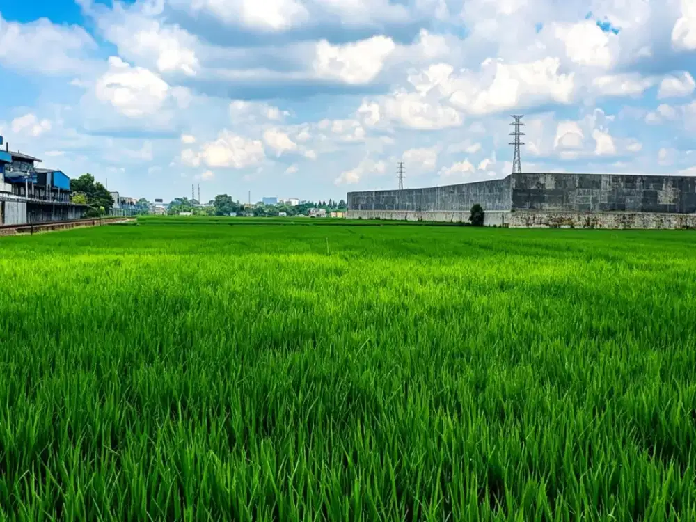 TANAH STRATEGIS AREA INDUSTRI LOKASI POROS JALAN KARANGLO MALANG JAWA TIMUR