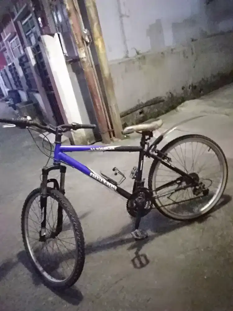 Sepeda polygon monarch 2.0 kondisi oke cek langsung kerumah