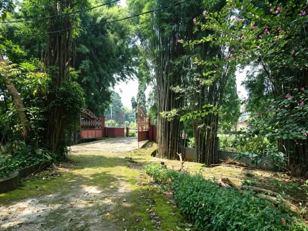 TANAH DAN BAGUANAN RUMAH POROS JALAN RAYA PURWODADI PASURUAN JAWATIMUR