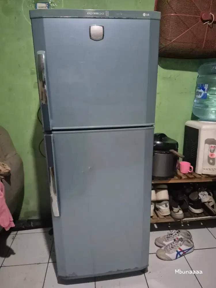 Kulkas 2pintu LG expresscool vitamin orisinil