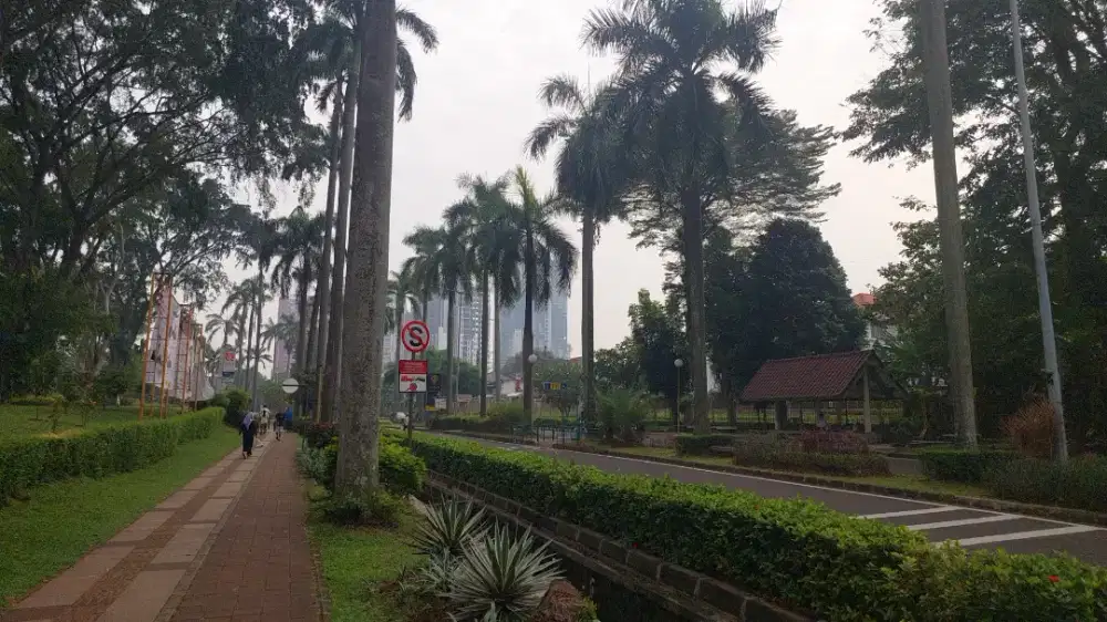 Tukang Potong Tanaman Liar Berani Manjat dan ahli