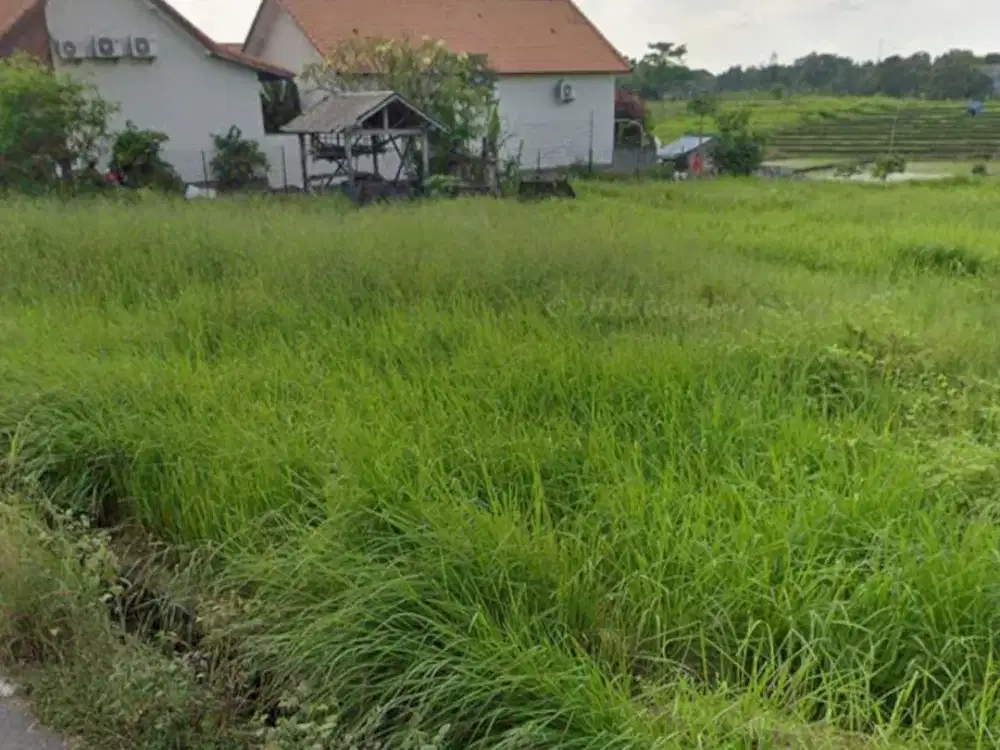 Langka Banget Dijual Kavling Area Umalas Bali Siap Bangun Lokasi Bagus