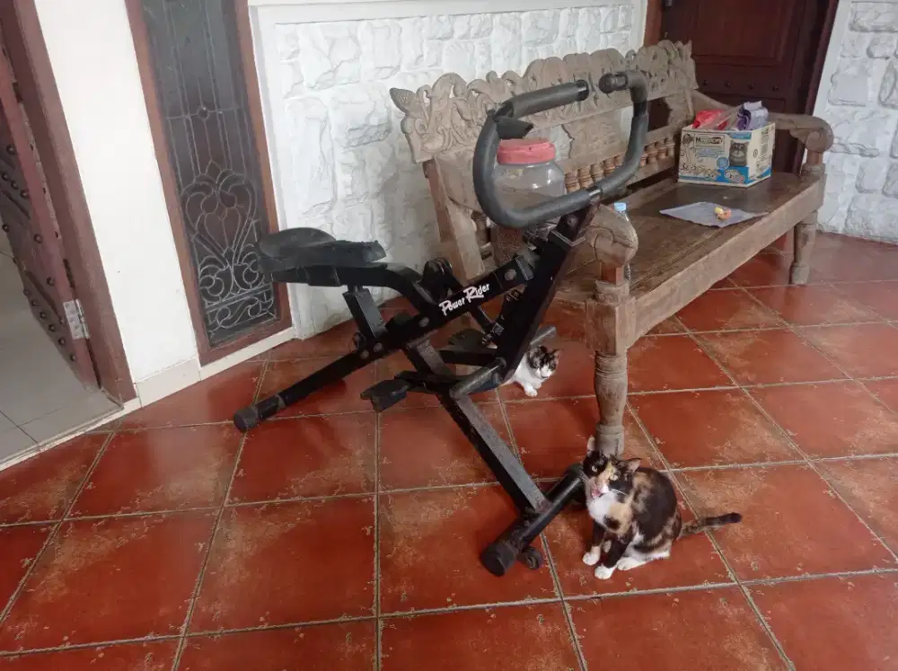 ALAT GYM BUAT ABS