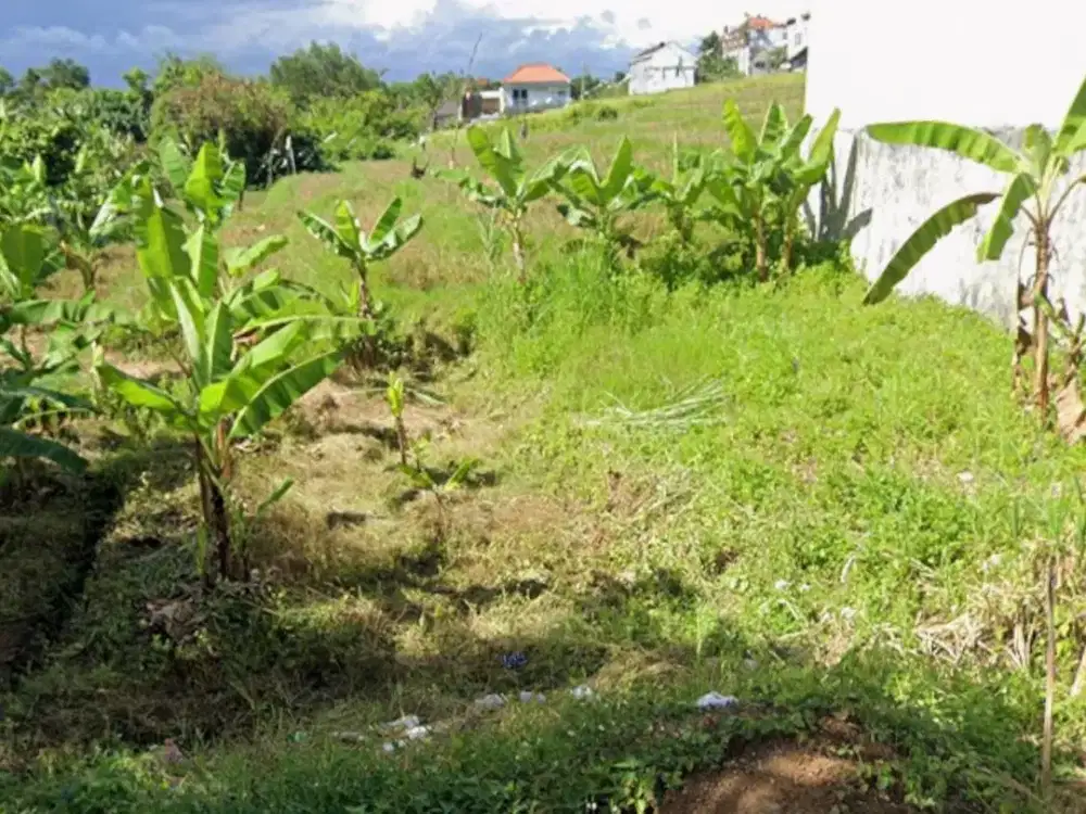 Dijual Murah Kavling Canggu Area Villa Bali Siap Bangun