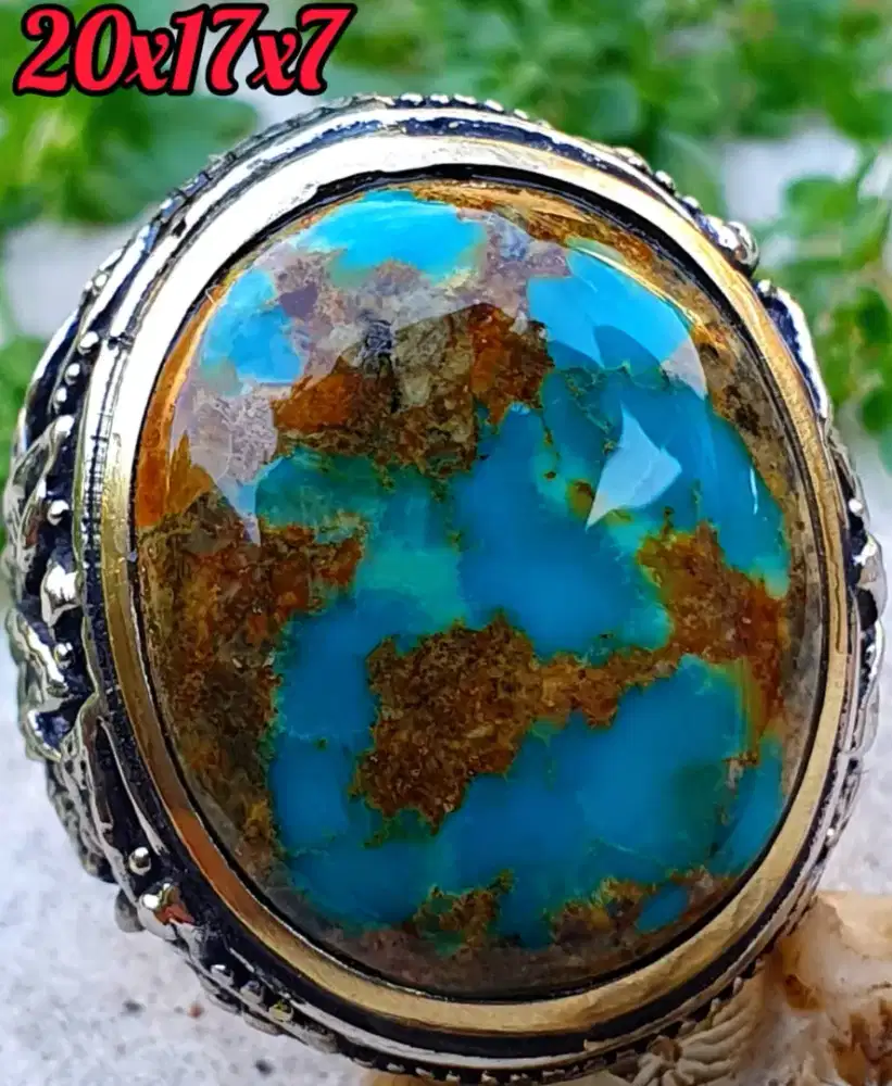 Pirus Persia lawasan mewah