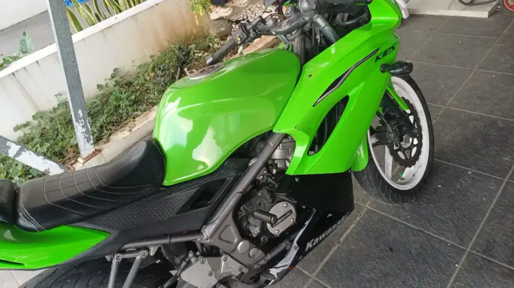 Kawasaki Ninja 150 rr 2014