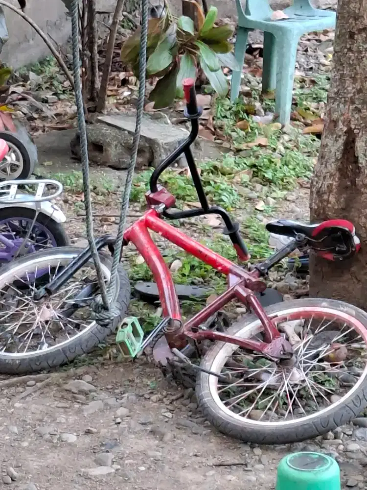 Sepeda anak sd ukuran 20