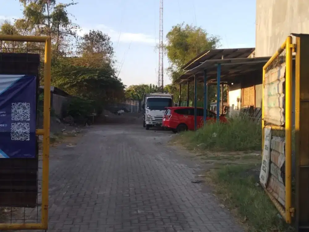 Lidah Kulon