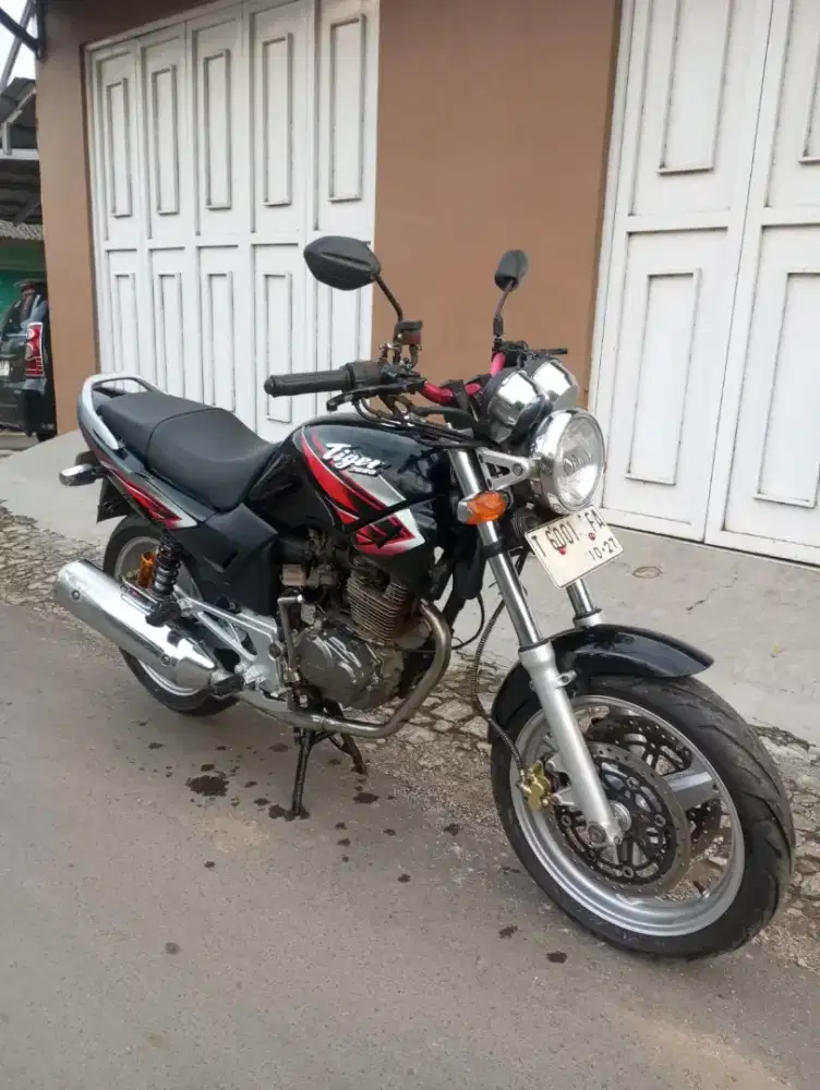 Tiger Gambot pakai kaki2 CB400