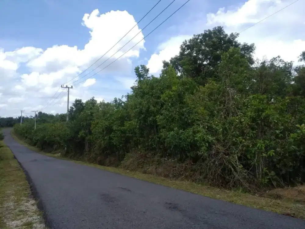 Dijual cepat tanah 19.940 m2, dekat lapas Belitung
