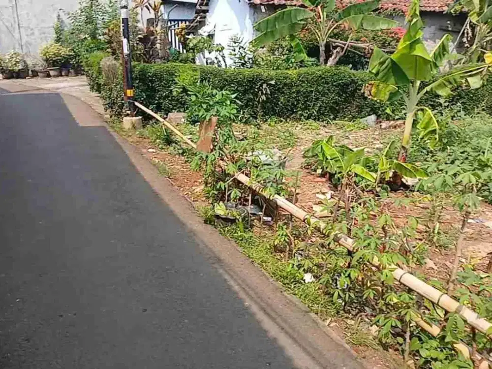 tanah kosong