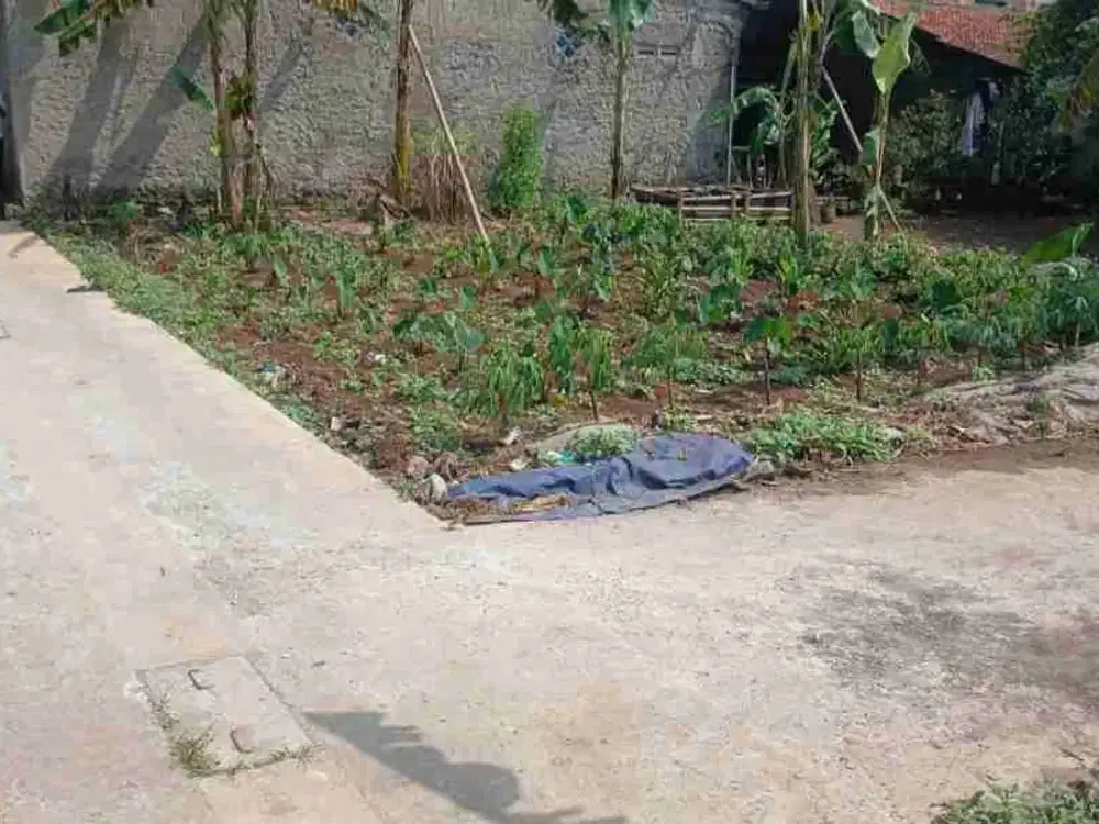 tanah kosong