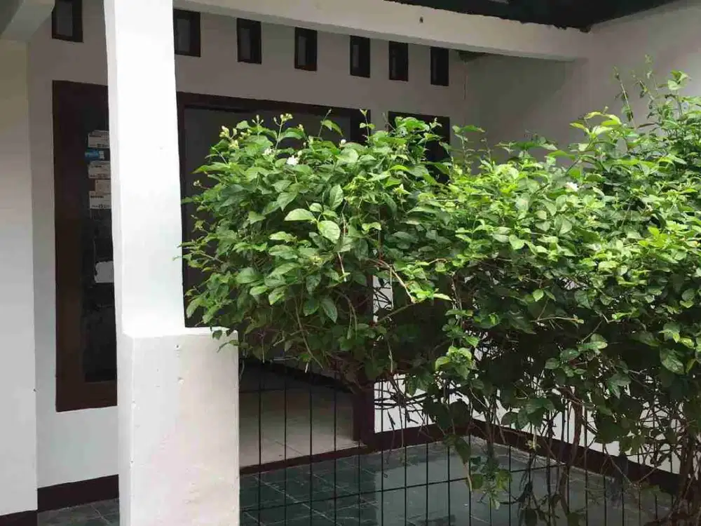 Dijual Cepat Rumah  2 LT di Cipedak Jagakarsa