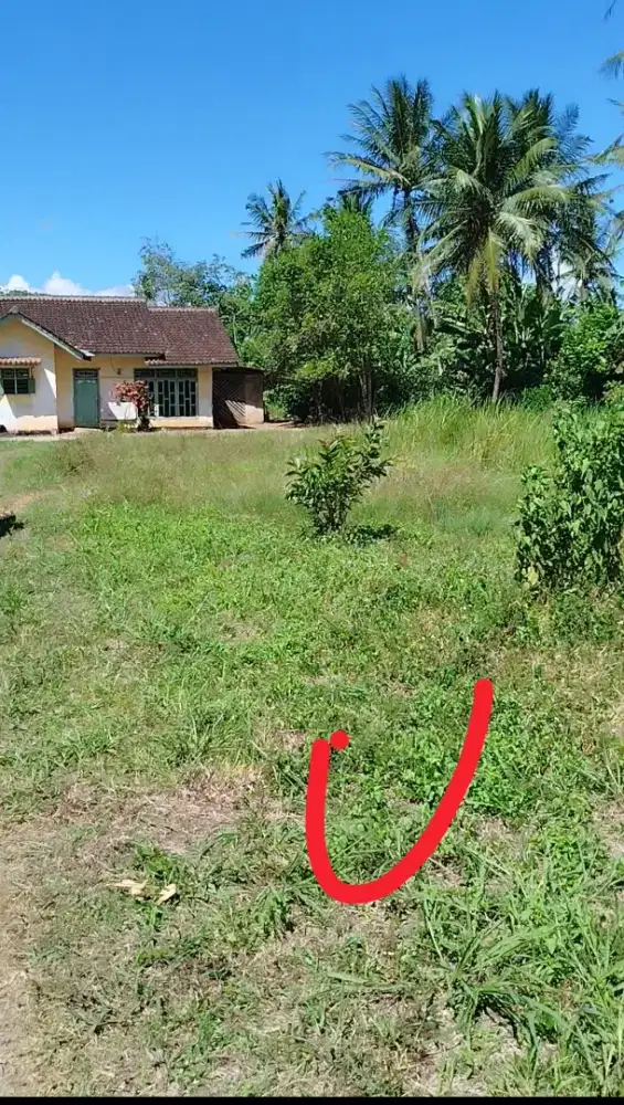 Di jual cepat Tanpa perantara
