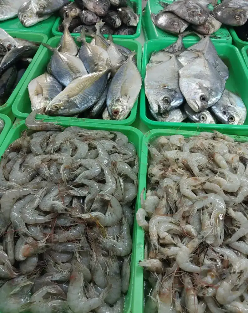 Ikan segar GRATIS ONGKIR + COD