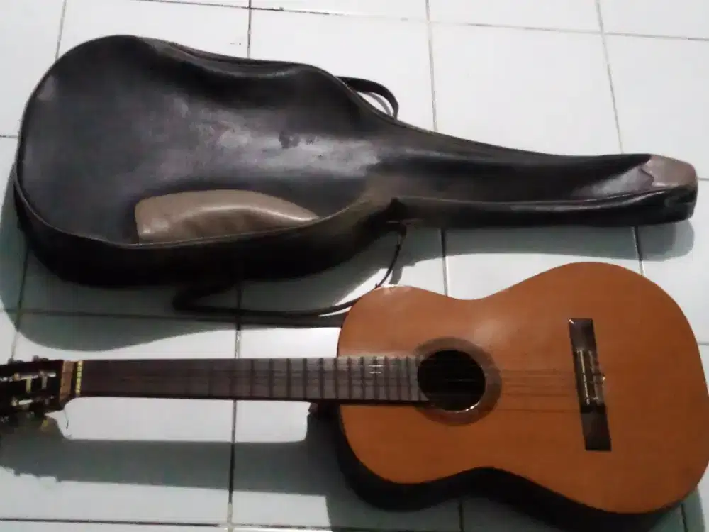 Gitar akustik. Tipe lama dan langka.