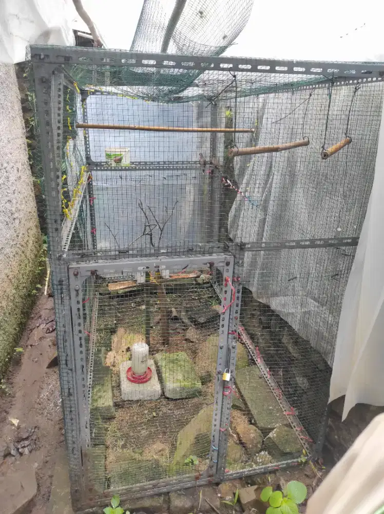 Kandang aviari 2mx1,5m