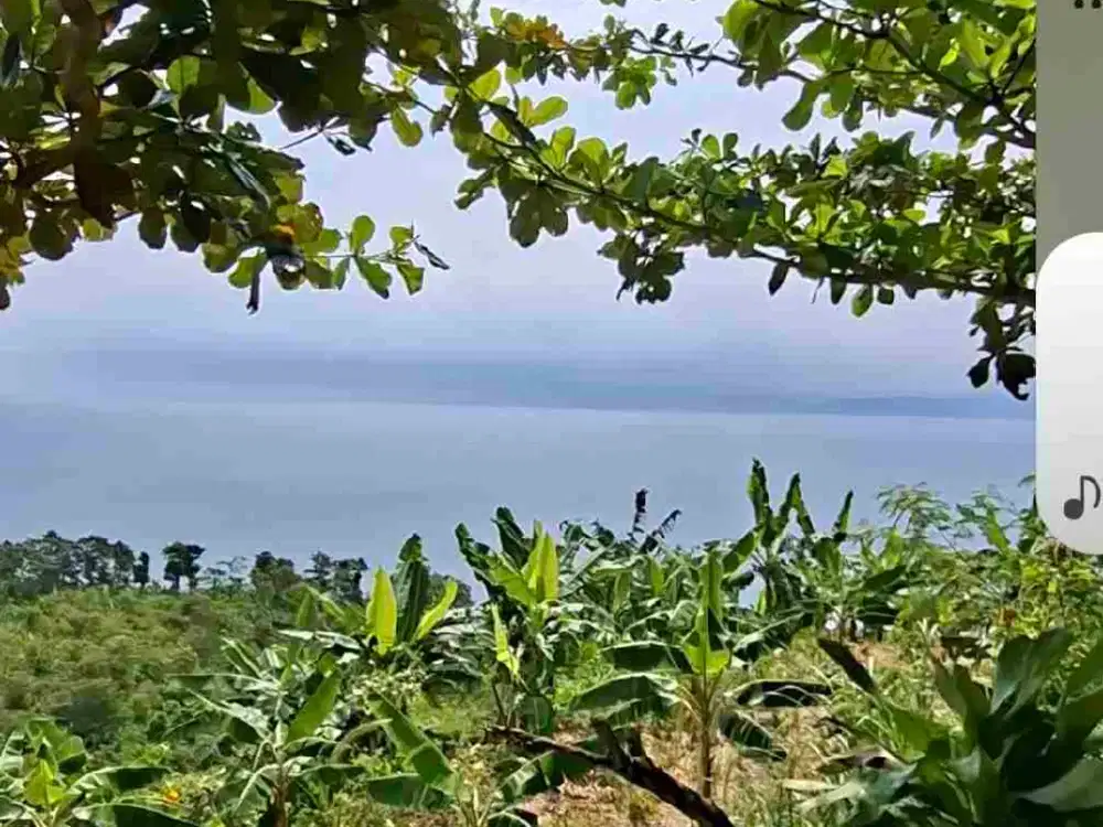 Di jual tanah darat sangat cocok untuk hotel Resort dan cafe kekinian.