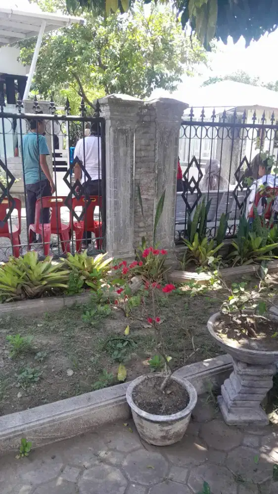 Dicari pekerja segera