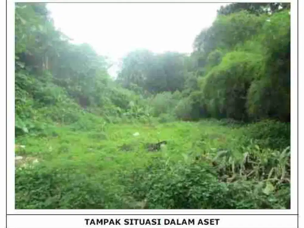 tanah bogor kadumanggu lt 750 m