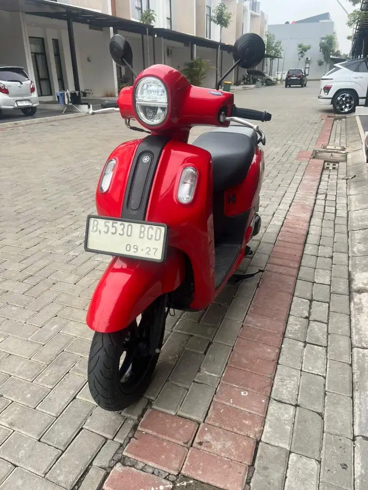Fazzio 2022 Low KM