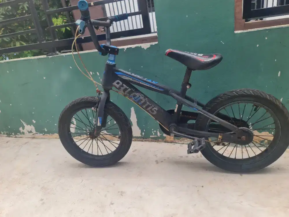 Sepeda Anak 16 dan 12 Inc