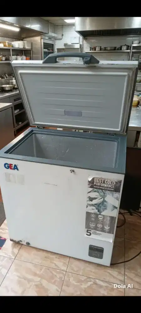 Freezer box 200L GEA