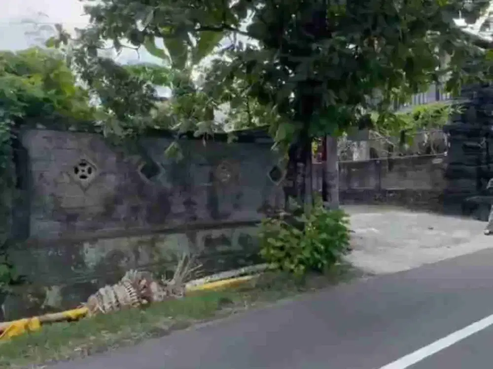 TANAH JALAN UTAMA BERINGIN PADONAN COCOK UNTUK VILLA DAN SEGALA MACAM USAHA