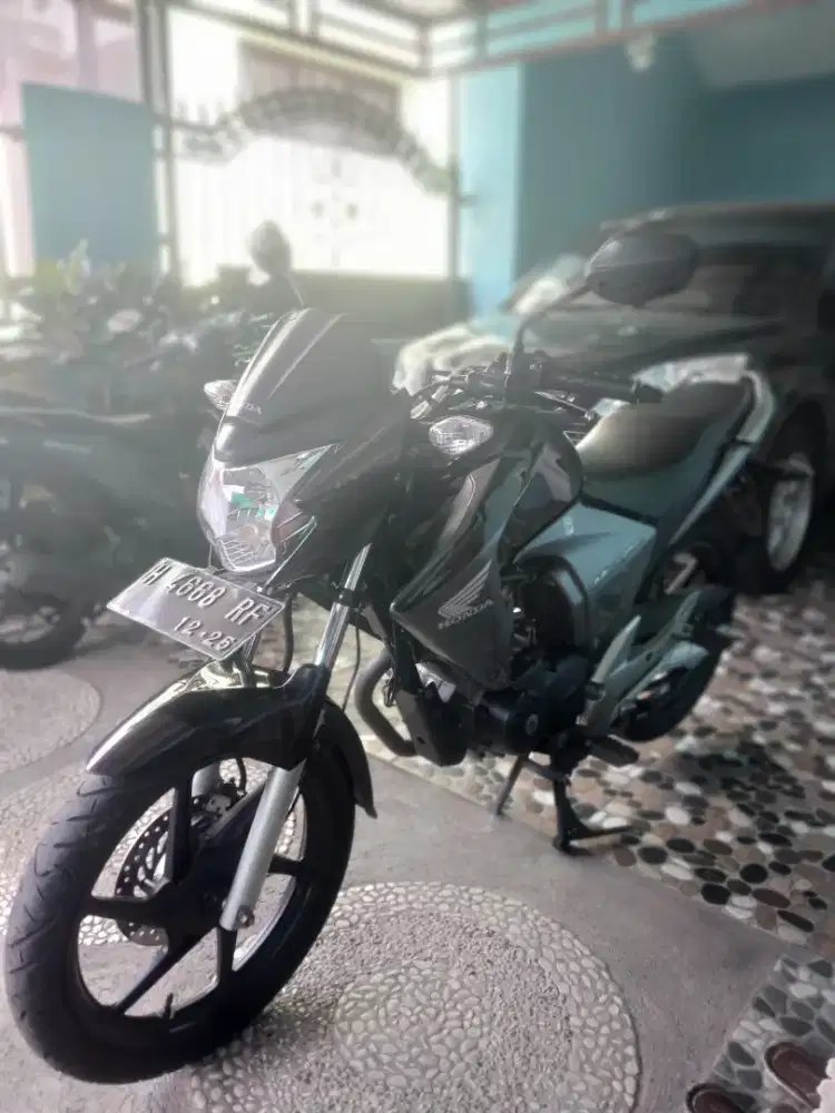 Megapro Mono 2010
