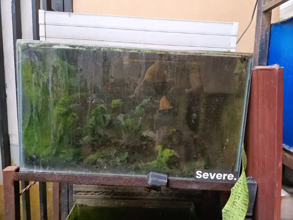 Aquarium 60x30x35