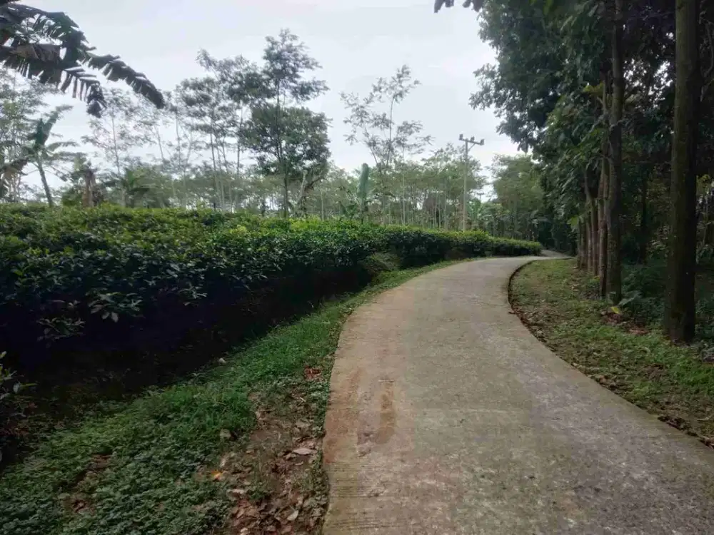 tanah darat