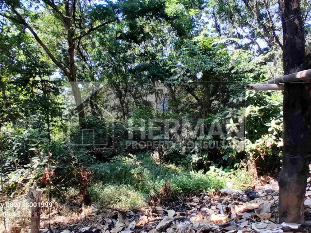 Tanah Tembalang Bulusan Undip