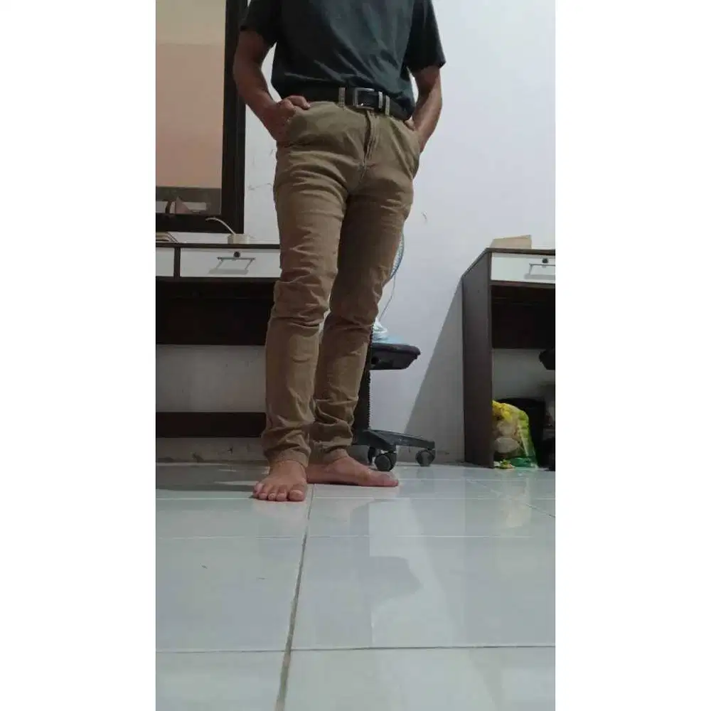 Celana Cowok Chinos Merk COLE 100% ORI