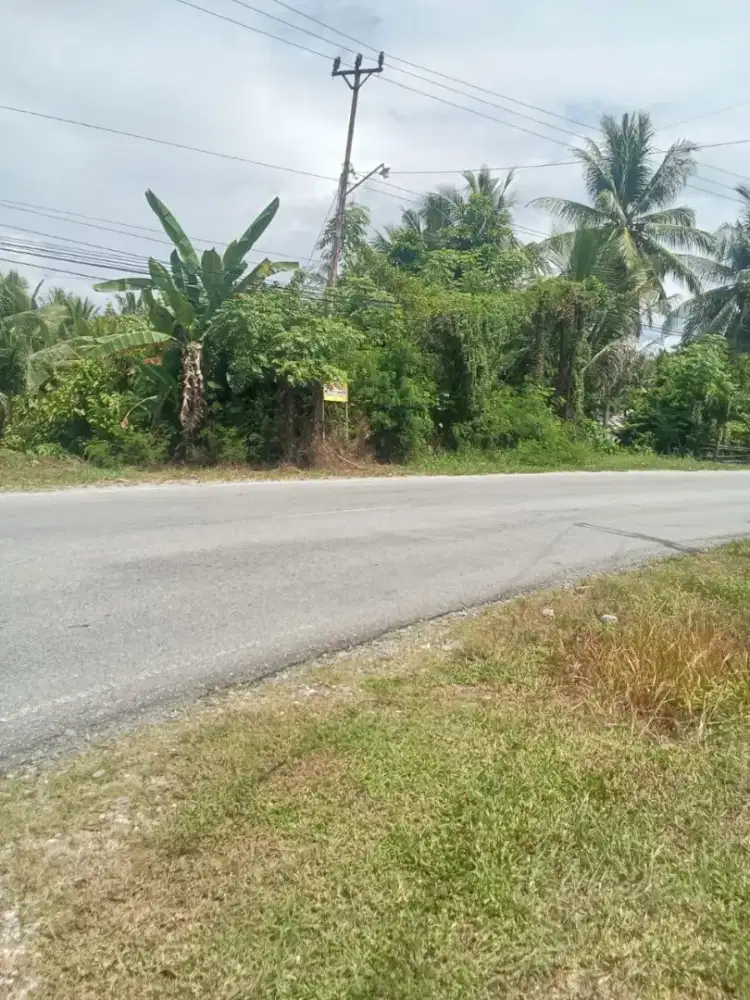 Di jual tanah murah di Poso pesisir Poso Sulawesi tengah