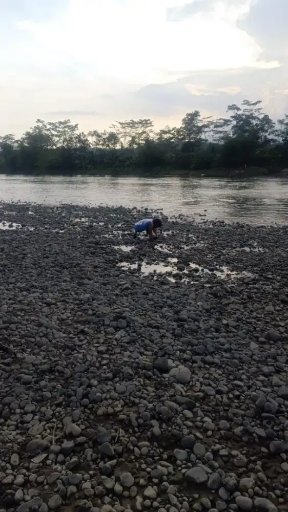 Supir siap luar kota
