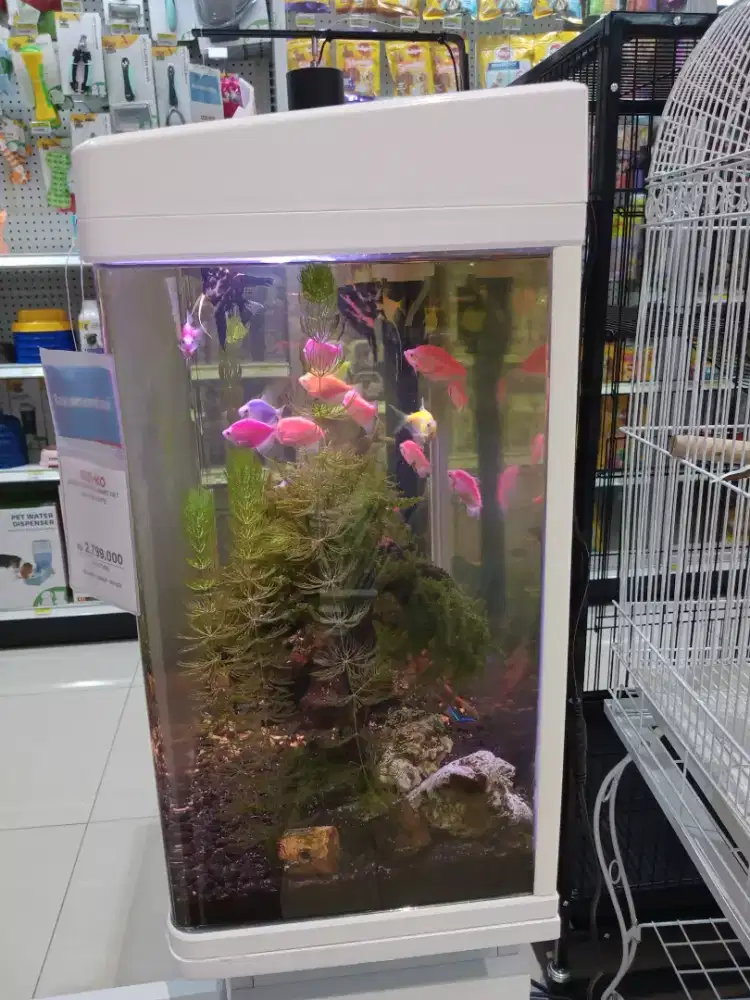 AQUARIUM AND CABINET SET