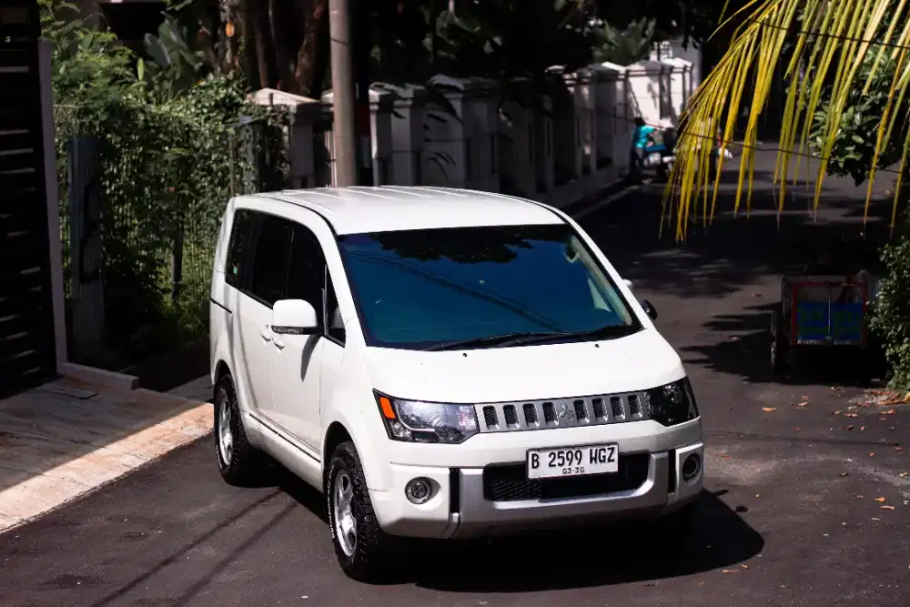 Mitsubishi Delica 2014