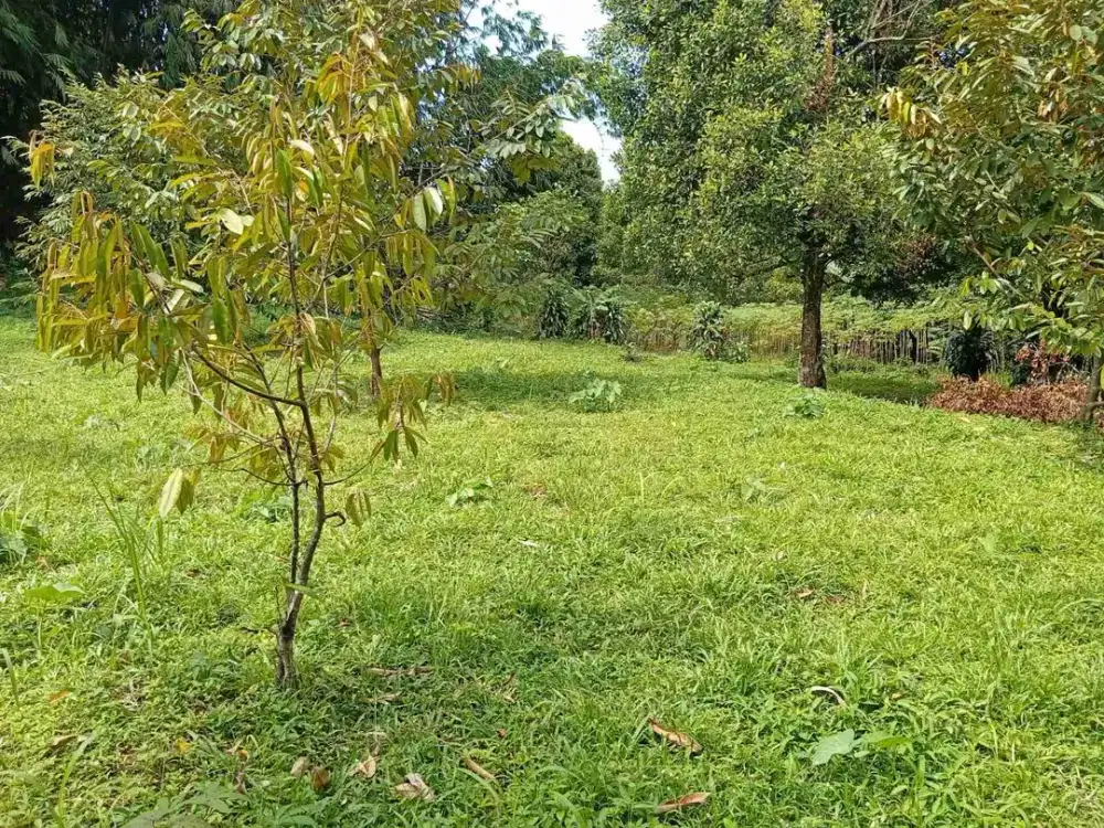 Di jual tanah Darat dekat summarecon Bogor