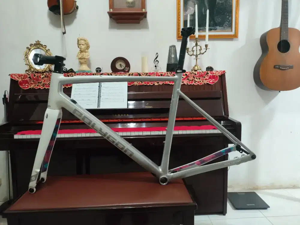Frameset Polygon S5D size L