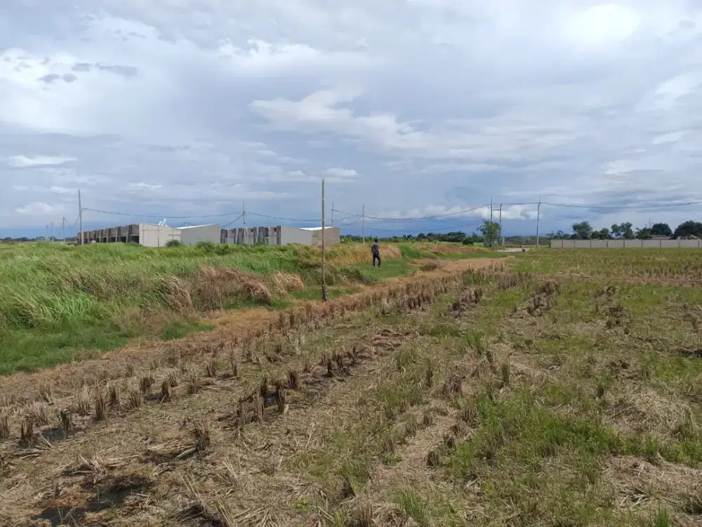 Tanah Sawah 3.189 Meter Persegi Shm Istimewa
