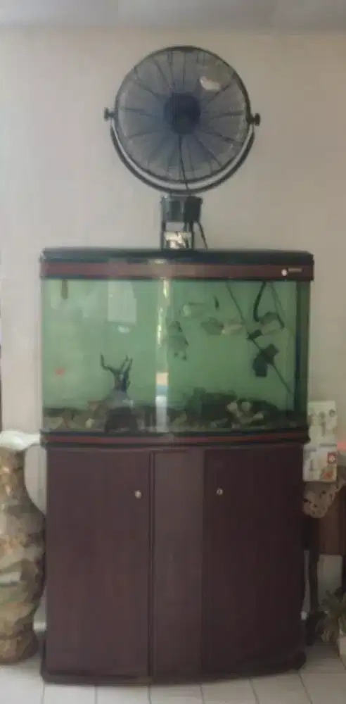 Dijual aquarium boyu 1meter harga 3jt nego