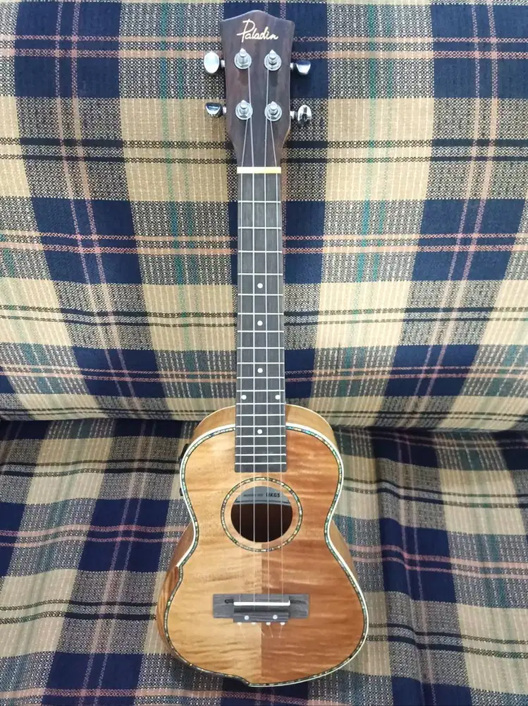 Ukulele Paladin UK63 Electric Acoustic + Softcase Original
