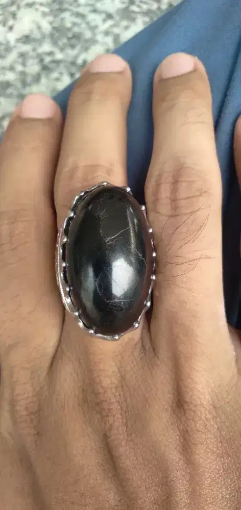 Fosil Galih Kelor Hitam Jumbo