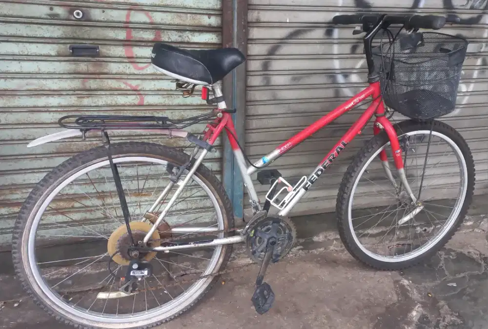 Sepeda federal pussy cat ss pathfinder federal lady