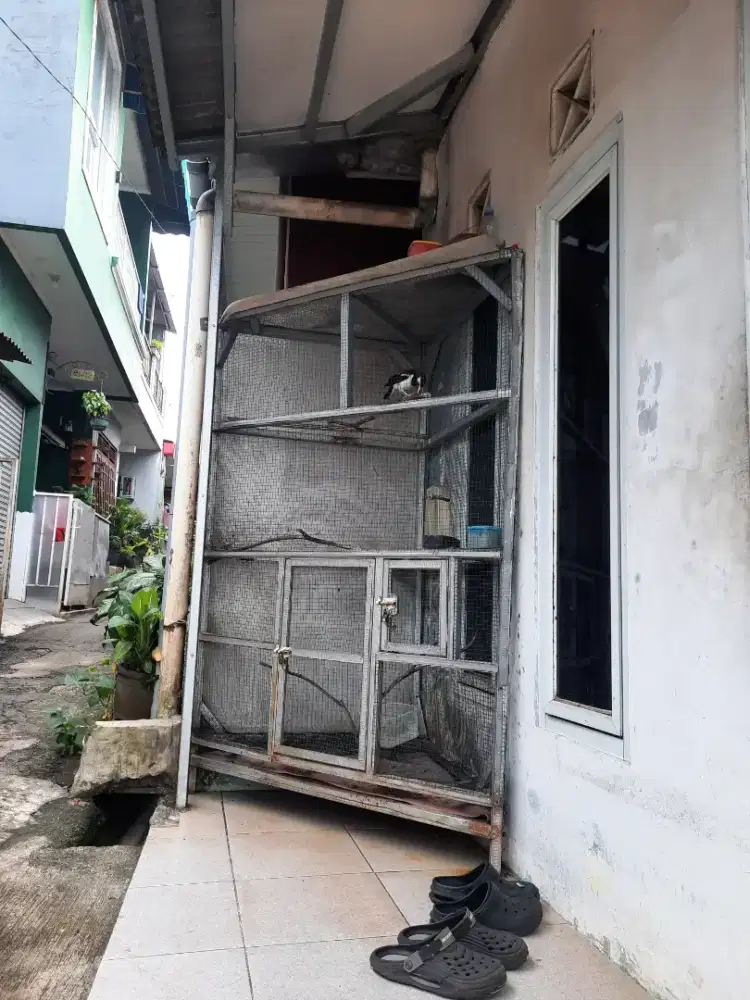 Kandang Burung Aviary Mini