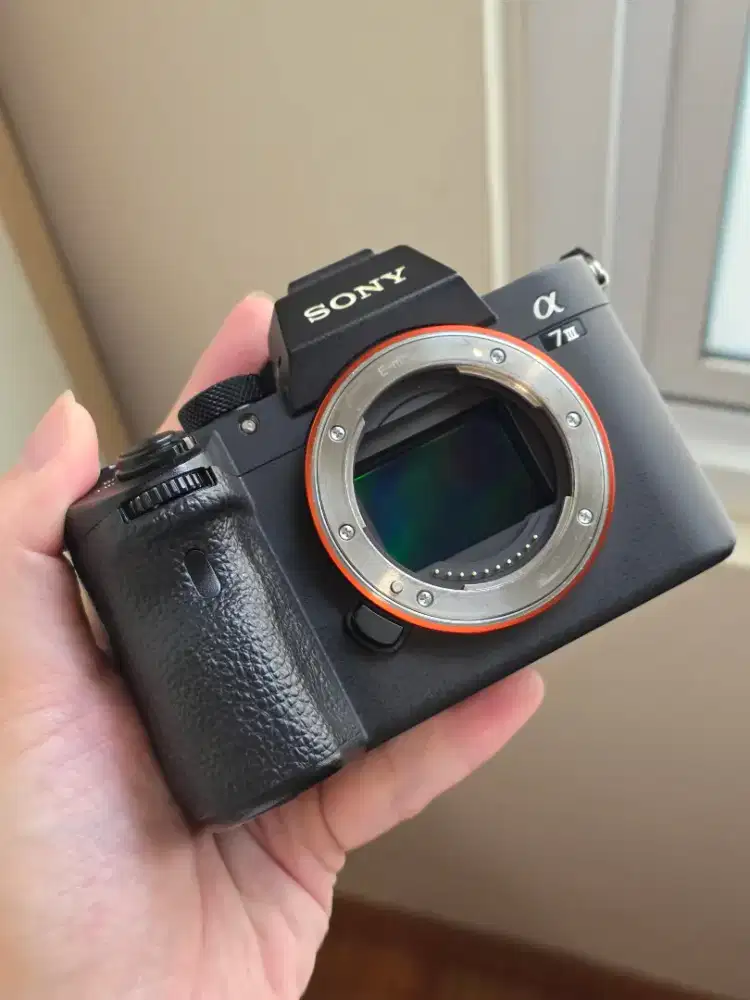 SONY A7III SECOND MULUS
