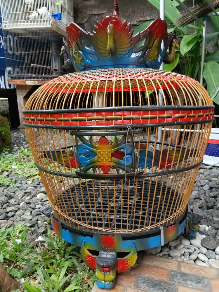 sangkar derkuku om no minus monggo ..