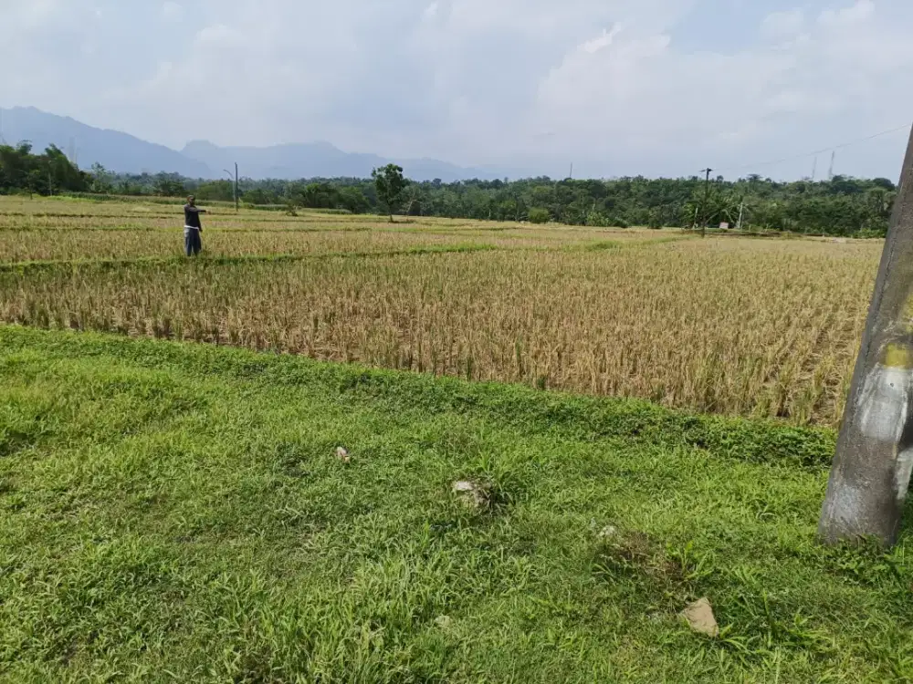 Tanah 100 Ubin Pinggir Jalan Raya Besar Banjarkerta Purbalingga