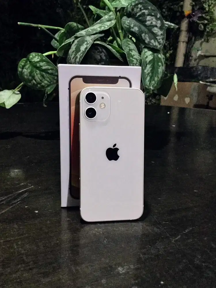 Apple iPhone 12 Mini White Inter LL/A Like New
