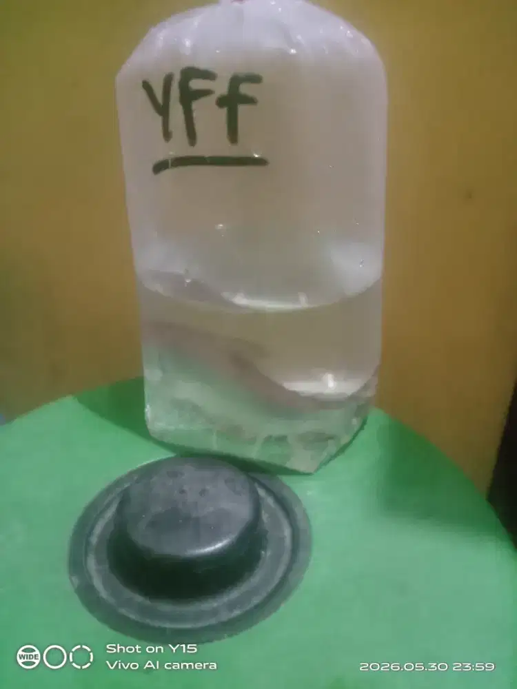 Promo Yff jumbo sz 17 an  .